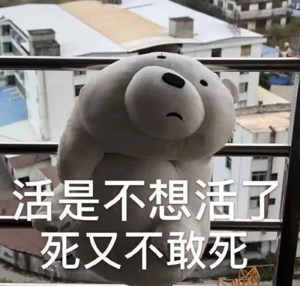 这些人间清醒的童言童语，专治成年人的矫情病