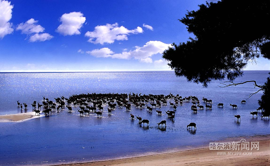 打卡龙江避暑胜地｜不负初夏最美时光