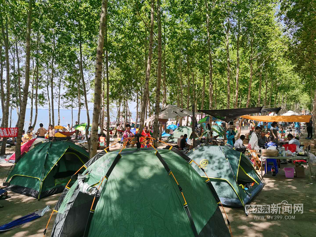 打卡龙江避暑胜地｜不负初夏最美时光