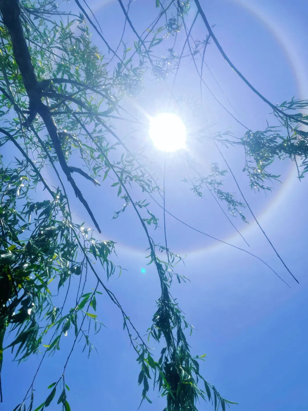 去泸沽湖，坠入夏日的幻境......