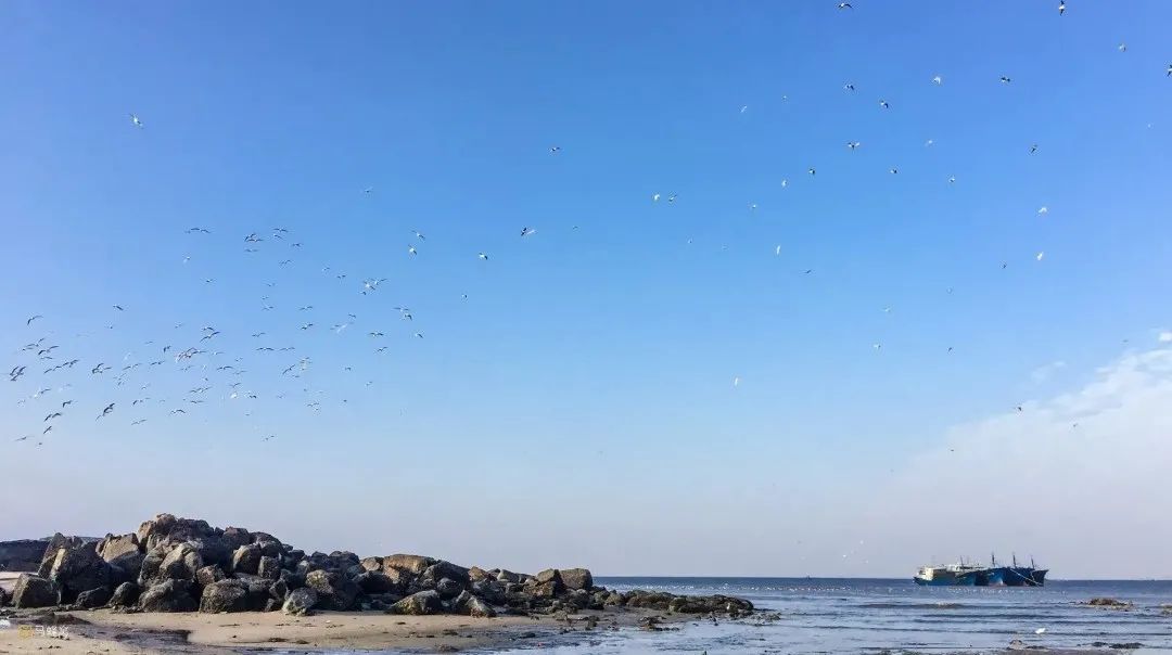 端午出游|海边冲浪正当时！