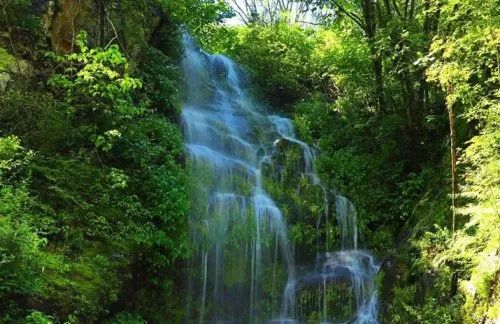 陕西预计6月24日公布高考成绩！高考生凭身份证和准考证可享受这些福利...