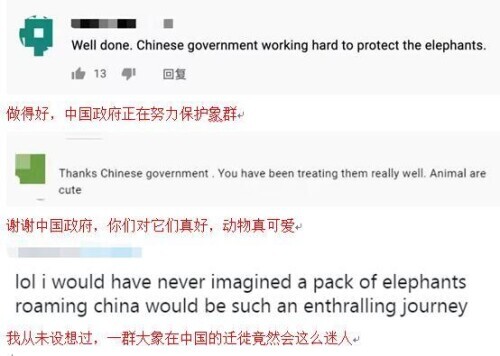万万没想到 外媒的“阴间滤镜”居然被这群大象踩碎
