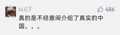 万万没想到 外媒的“阴间滤镜”居然被这群大象踩碎