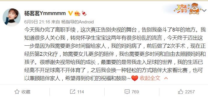 90后央視世界杯女主播楊茗茗（歐洲杯前夕，“美女主持”楊茗茗微博發文透露已離開央視）