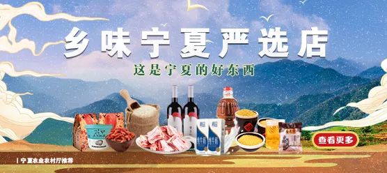 宁夏2021年高考录取一本投档信息公布！