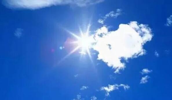 夏至三候是什么(夏至三候：鹿角解、蝉始鸣、半夏生)