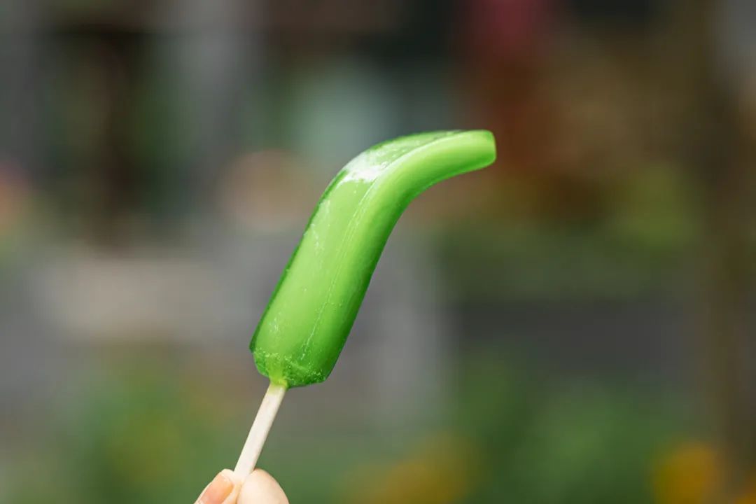 童年记忆雪糕有哪些（好吃又便宜的雪糕冰棍推荐）(11)