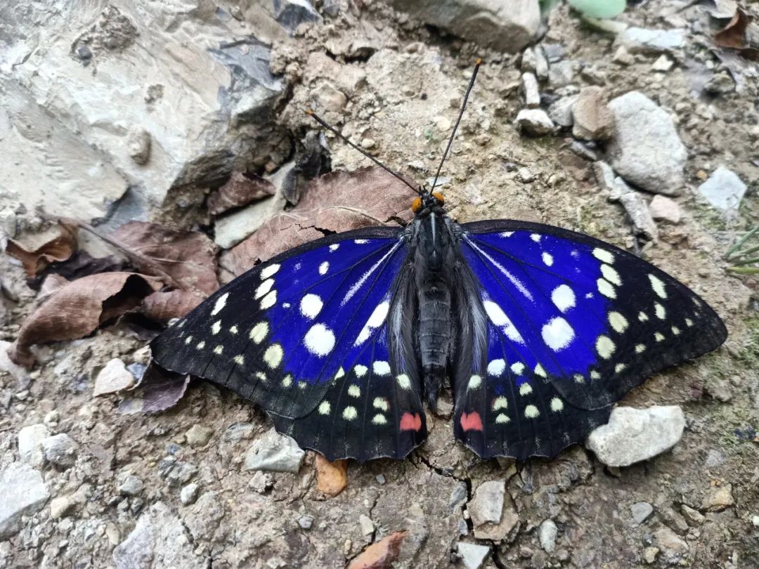 最新！录取时间定了！｜新闻早班车