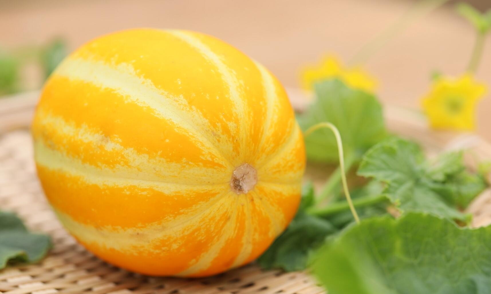 六月遇见七宝黄金瓜