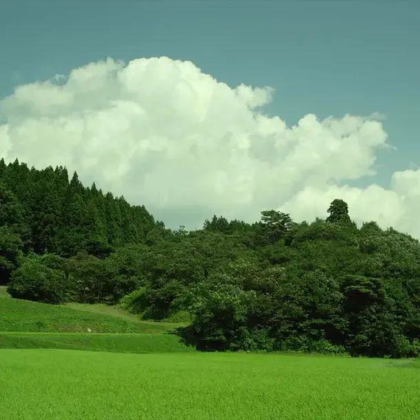 午后悠长，我想请你喝一杯下午茶