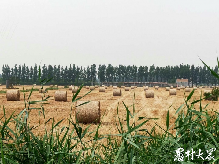 全省不少地市鼓励秸秆打捆收回利用，可用于生物发电等