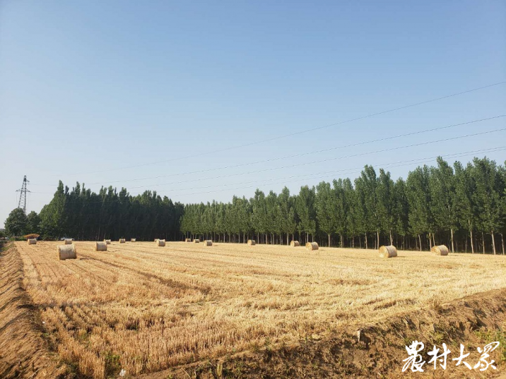全省不少地市鼓勵秸稈打捆收回利用，可用于生物發(fā)電等