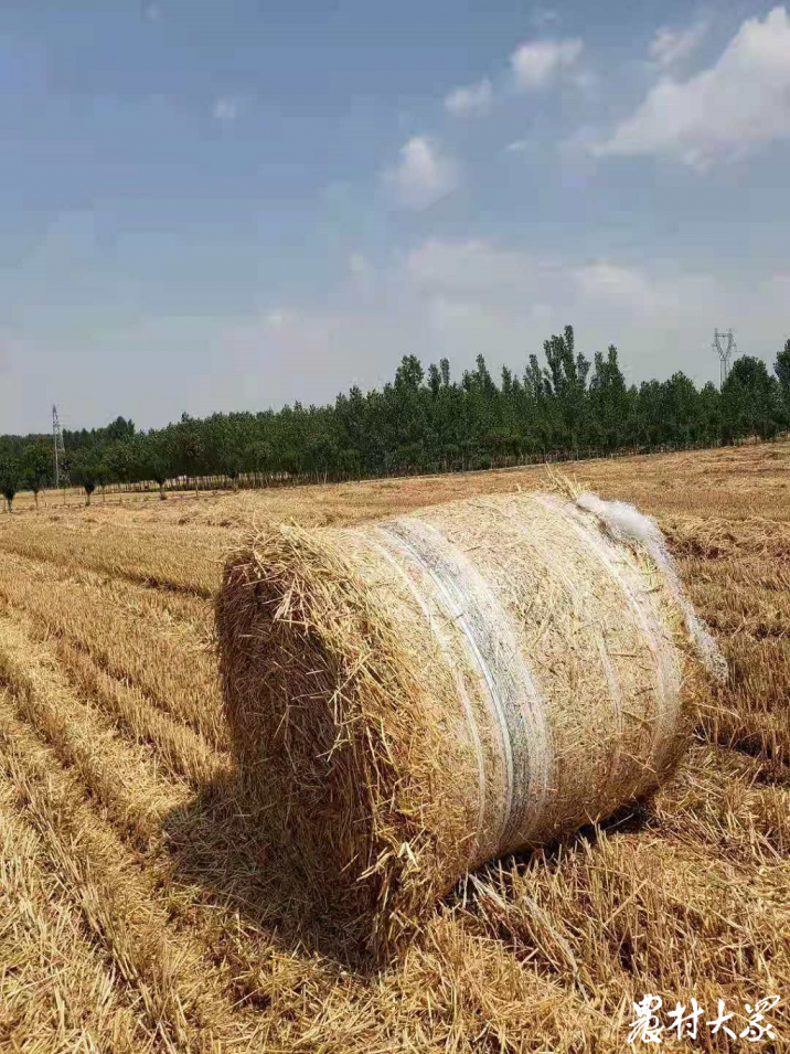 全省不少地市鼓励秸秆打捆收回利用，可用于生物发电等