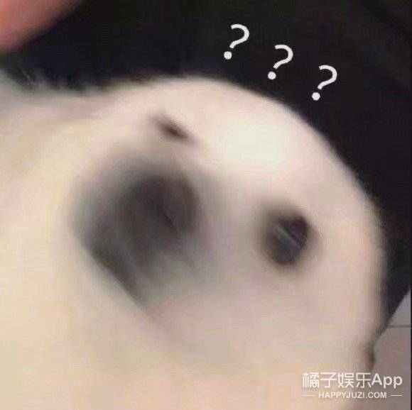 这不是光明正大劈腿？韩综《换乘恋爱》堪称前任修罗场，太缺德了