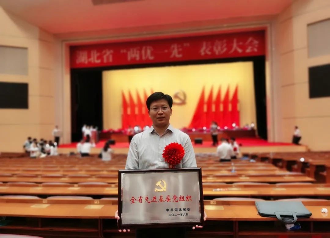 省级重磅表彰！点赞这些青年榜样