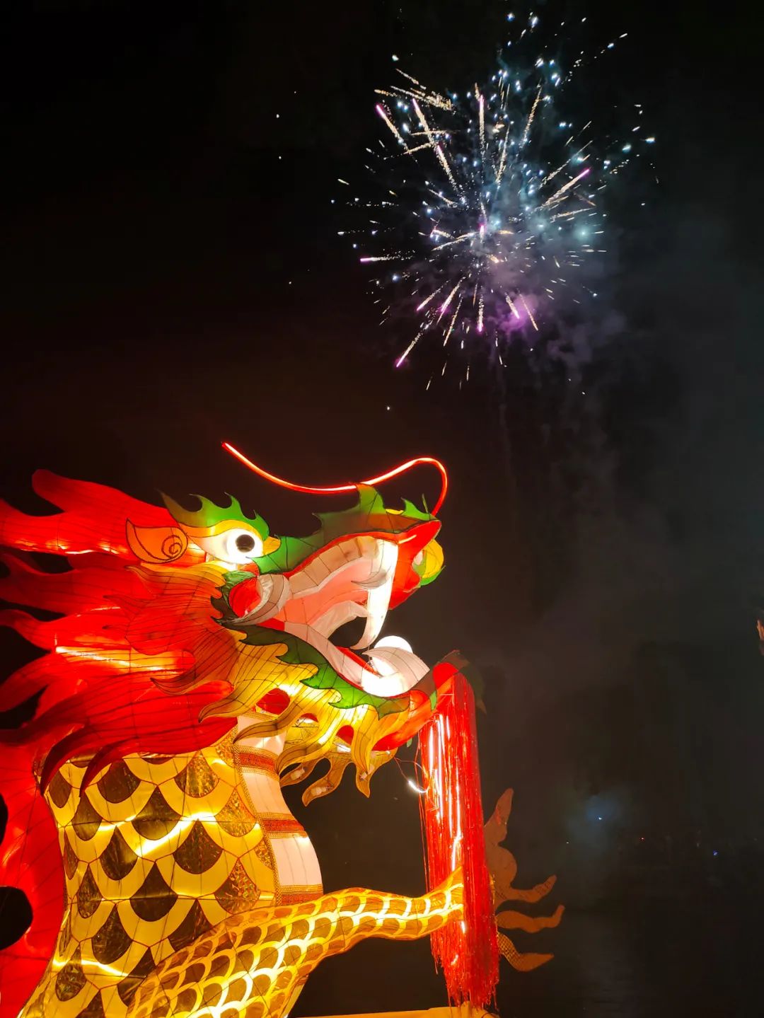 漓江上这一幕实在太美
