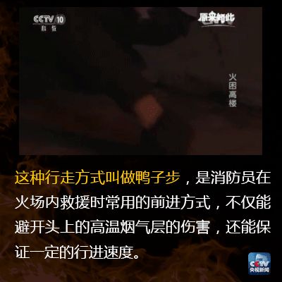 突遇大火如何正确自救？这份火灾自救指南请收好