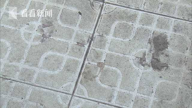 心情不好发泄？外卖骑手棍棒虐猫致死 视频曝光