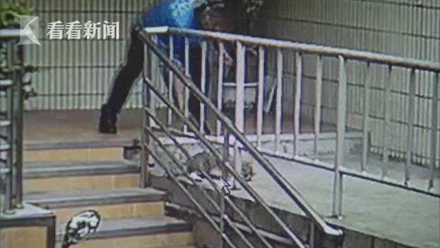 心情不好发泄？外卖骑手棍棒虐猫致死 视频曝光