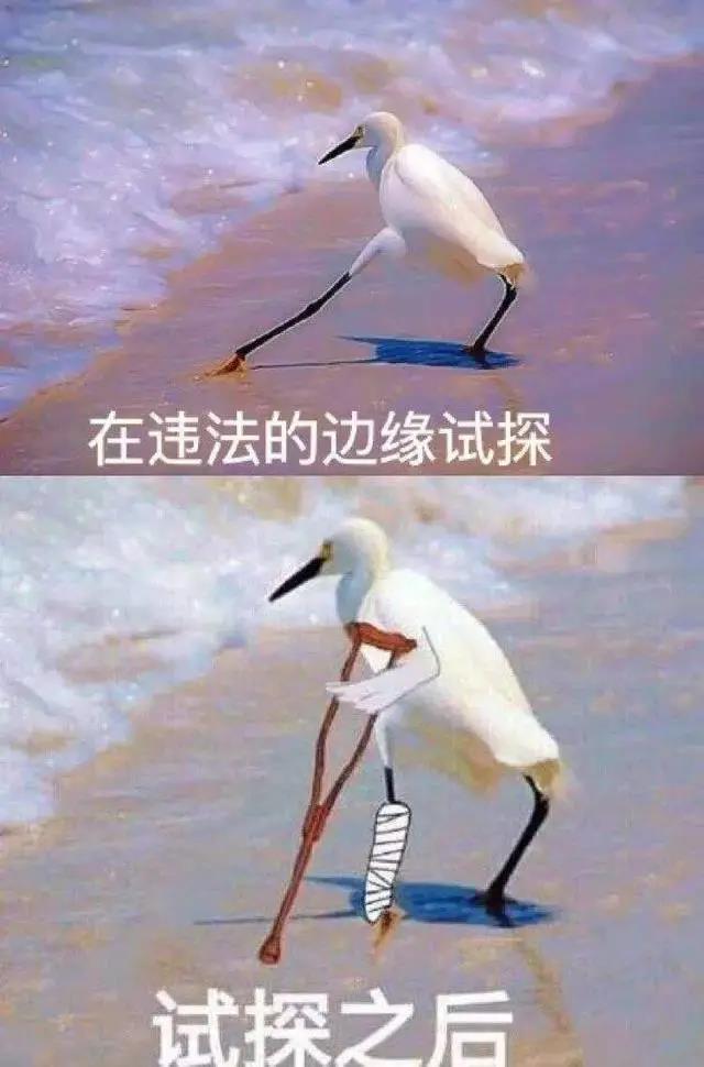 衡阳养老保险查询个人账户,衡阳养老保险查询个人账户查询