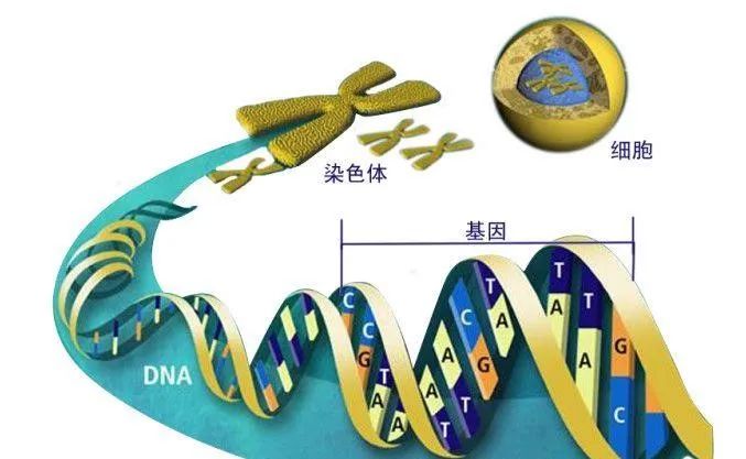 深度挖掘“白羊座计划”的隐藏信息丨大东话安全