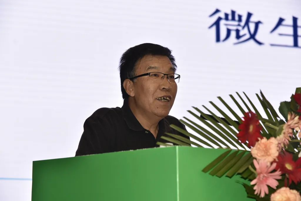 生物肥料,生物肥料和化肥之間是什么關系