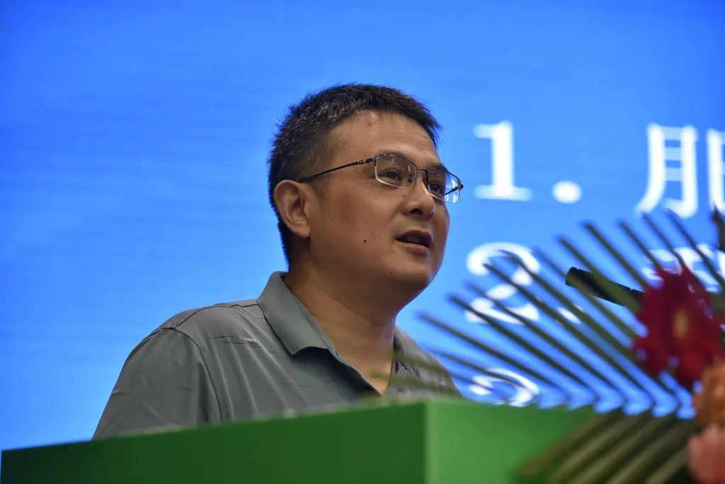 生物肥料,生物肥料和化肥之間是什么關系