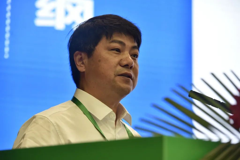 生物肥料,生物肥料和化肥之間是什么關系