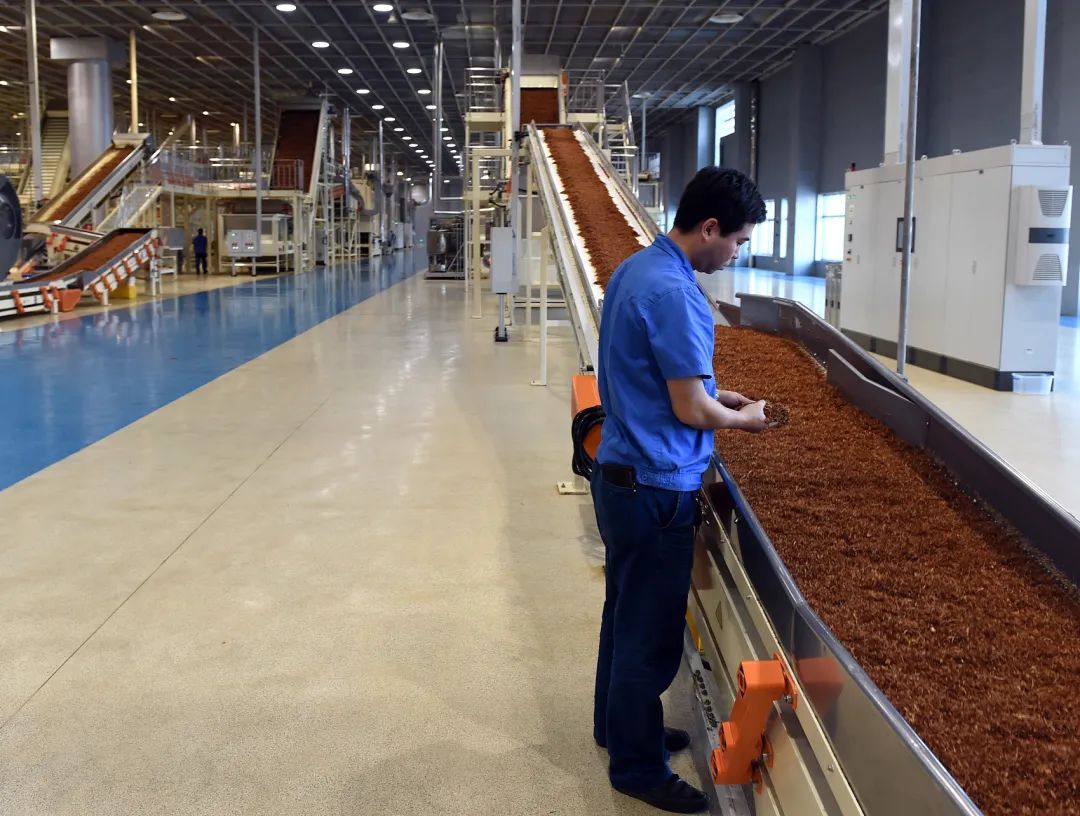 卷烟厂招工内卷：要求本科以上，但报名的硕士太多