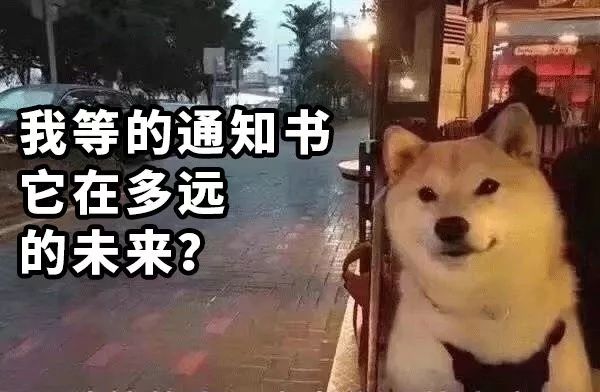 你的大学在招手！快来看看录取通知书到哪啦！