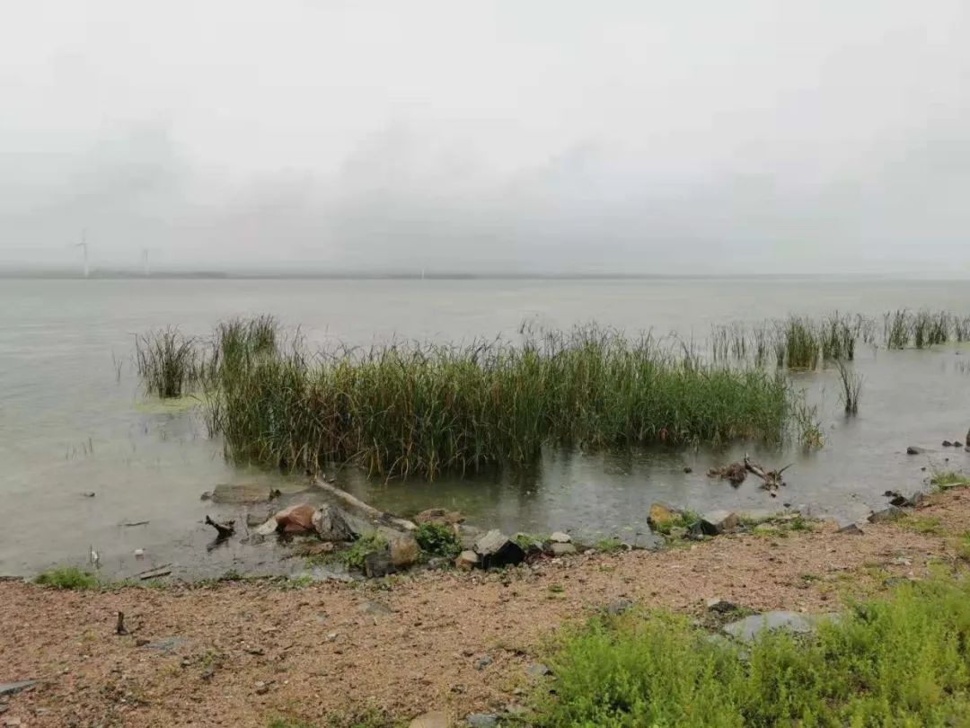 老俞闲话丨雨中漫行永定河