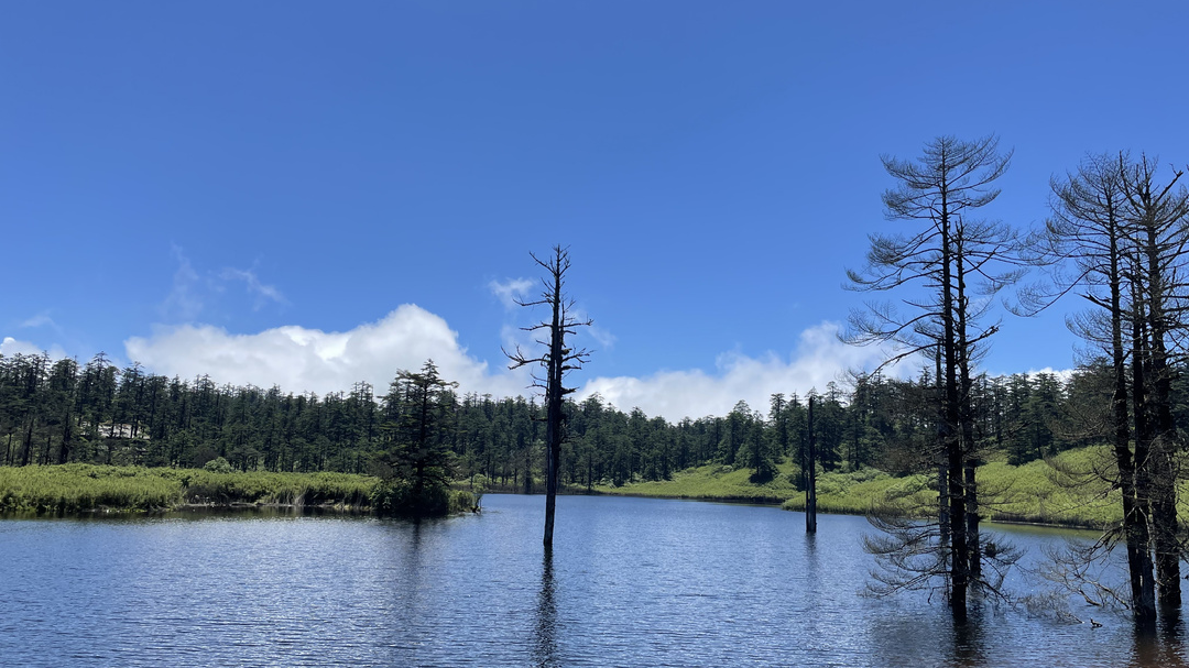 真香！全年畅游瓦屋山只需236元