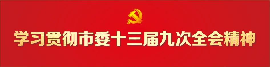 解读来了！这场新闻发布会，深度解码市委十三届九次全会