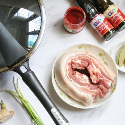 腐乳红烧肉的做法「腐乳红烧肉的做法 最正宗的做法视频」