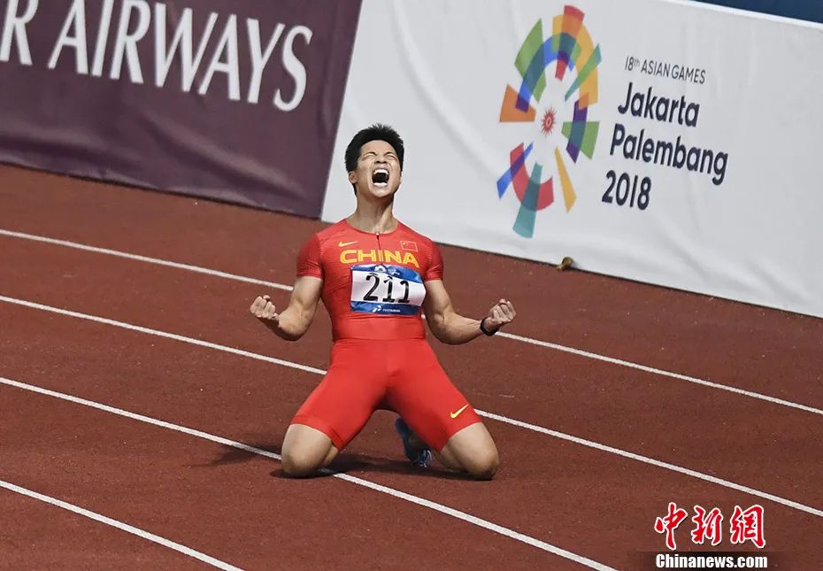 大学特招奥运会项目有哪些(不止杨倩！这届奥运会中国代表团的学霸可太多了)