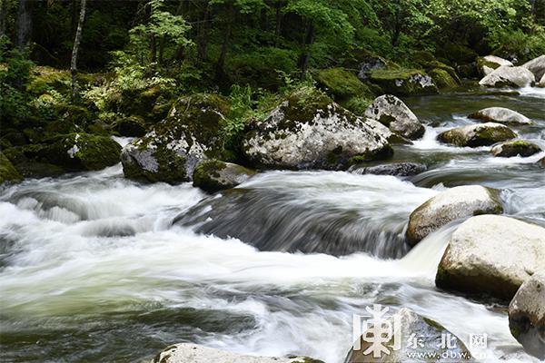 黑龙江这些宝藏景区堪称“颜值天花板”