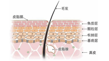 婴儿皮疹怎么治疗方法（痱子痒）