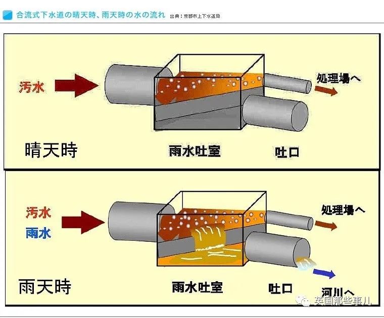 东京奥运会铁人三项有哪些运动员(铁人三项选手集体呕吐，日媒称水质没问题，日本网友自己吵起来了)