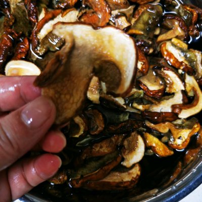菌子湯,菌子湯是什么梗