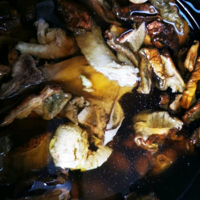 菌子湯,菌子湯是什么梗