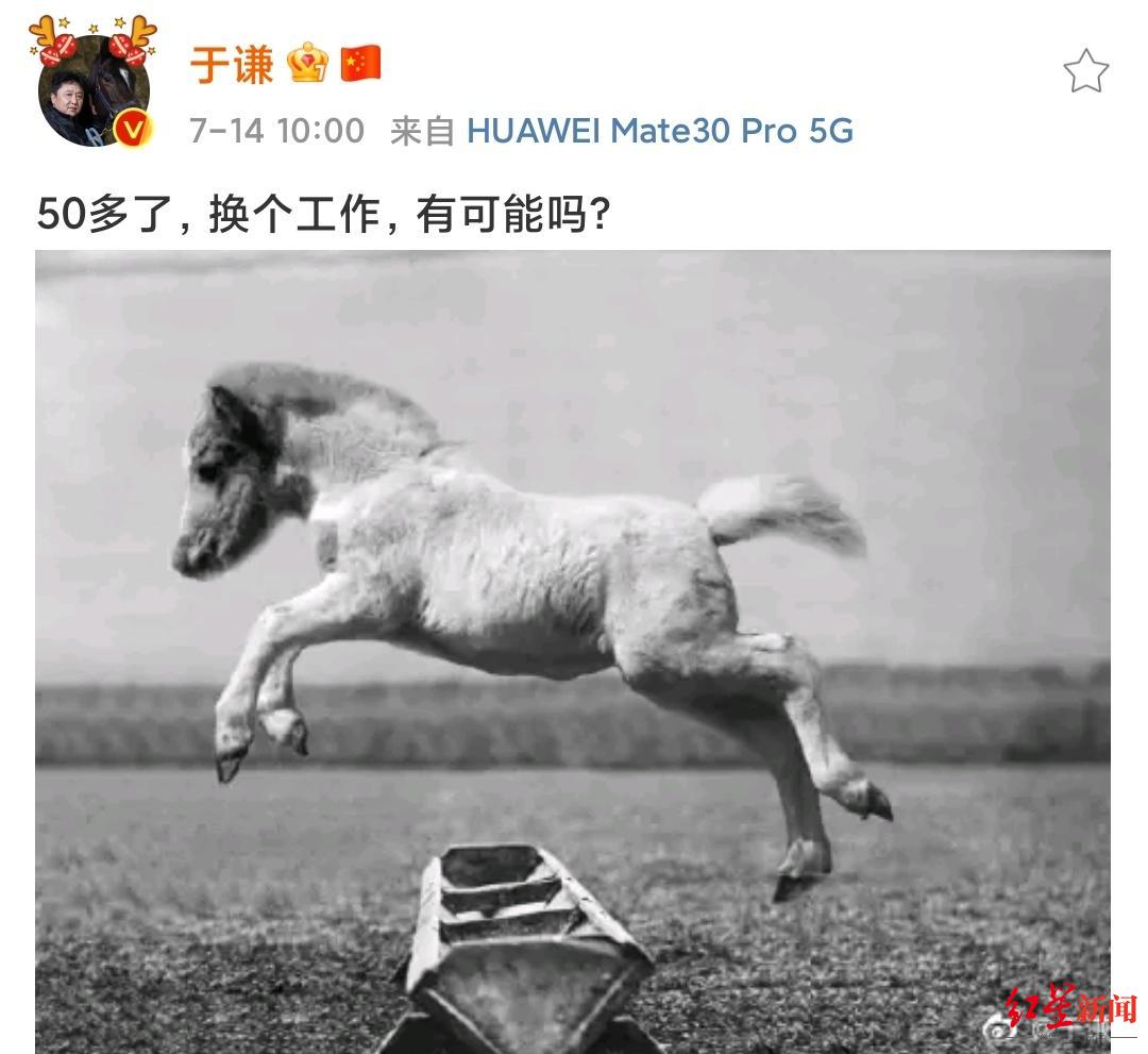 马术比赛用的是自己的马吗(中国马术奥运创历史，没想到背后有于谦栾树沙宝亮等人的努力)