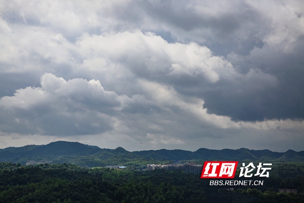 三伏天太热？这些雨后云朵给你来一场云解暑