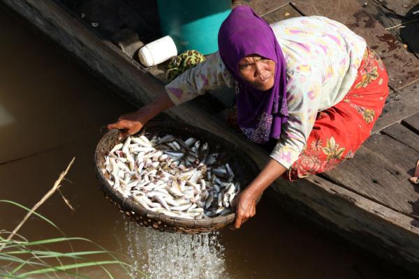 柬埔寨：湄公河上的生活
