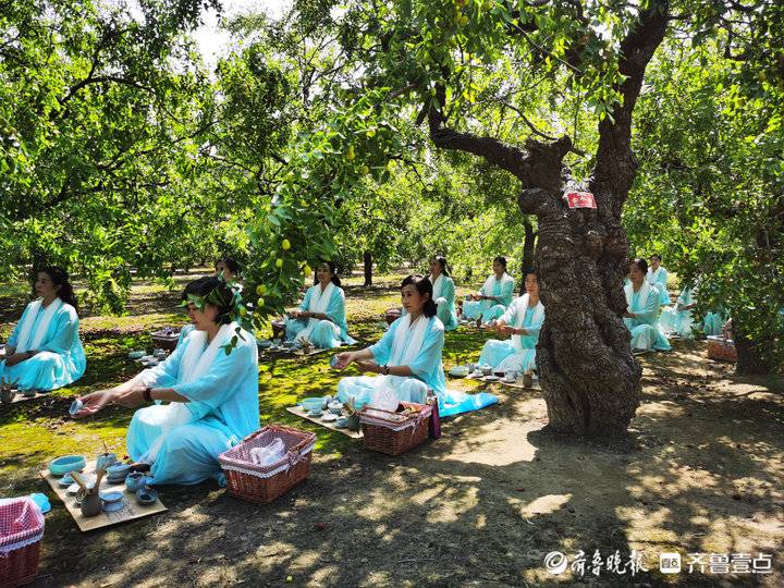 打卡枣城享“醉氧”——生态乐陵探访