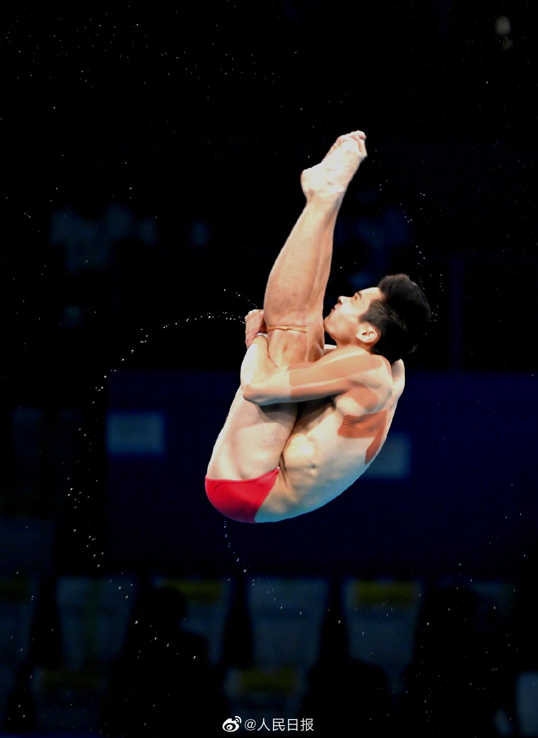 世界奥运会跳水纪录是多少分(中国跳水经久不衰的秘密到底是什么？)