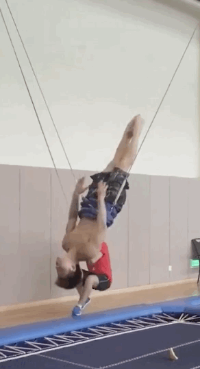 东京奥运会跳水评分规则（中国跳水经久不衰的秘密到底是什么？）