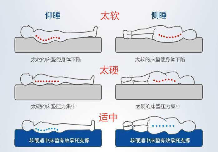 12款國內外常見品牌床墊測試，哪款床墊更優秀？