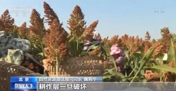土地双轨制,土地双轨制什么意思
