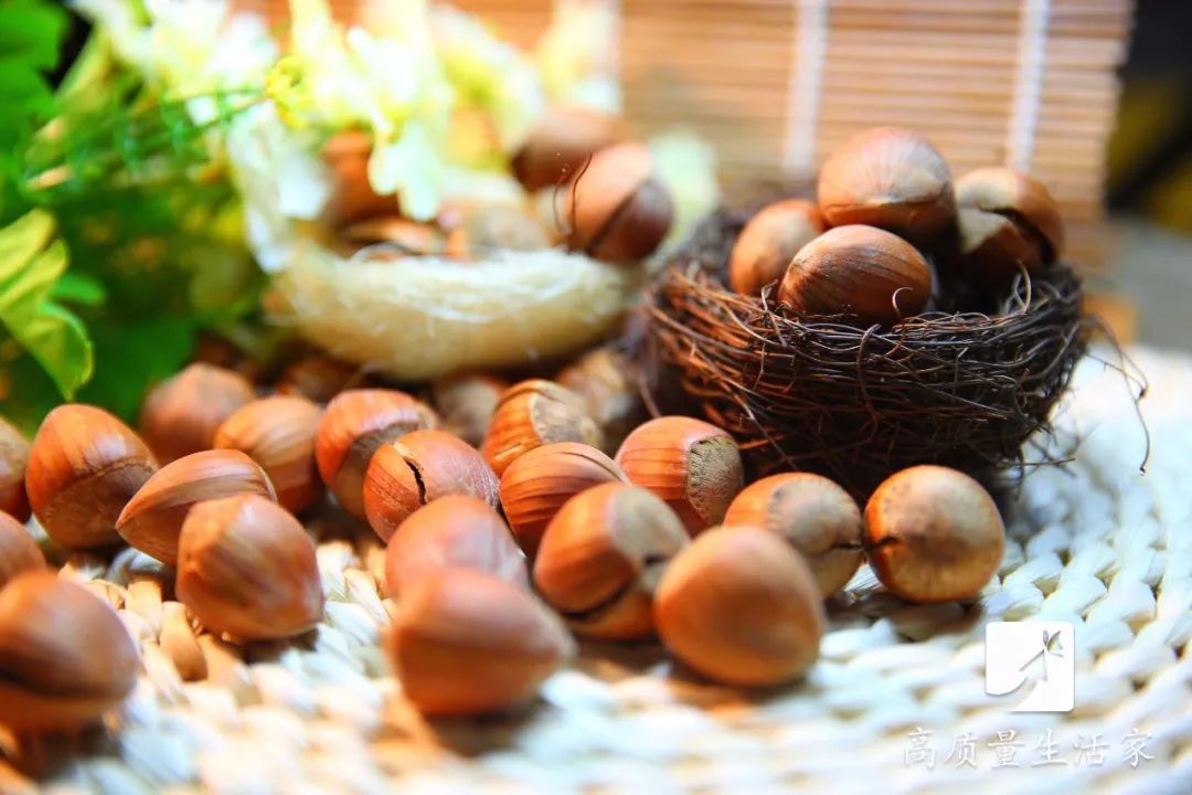 蝦皮、骨頭湯不補鈣！真正的補鈣食物排行榜快收好，別再亂花錢了